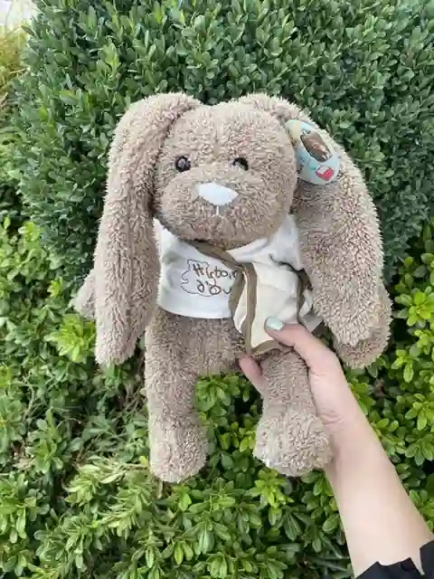 عروسک خرگوش کیف به دست کوچک – پینک شاپ