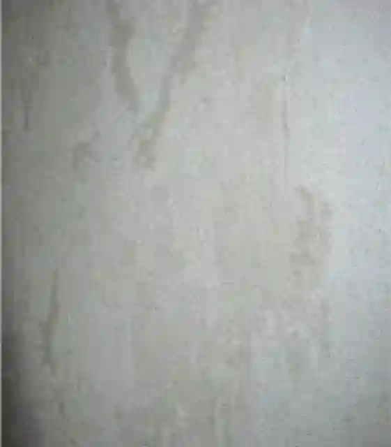 کاغذ دیواری اونتوس